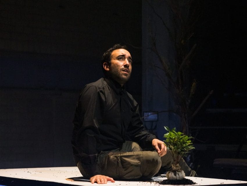 TESTAMENT (c) Marshall Stay